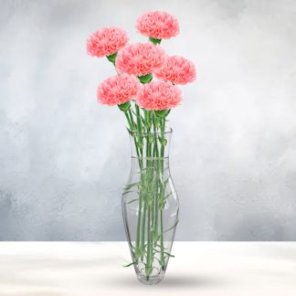 Vased 6 Carnations