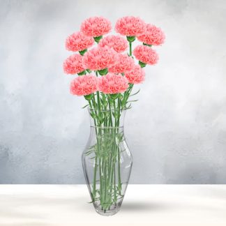 Vased Dozen Carnations