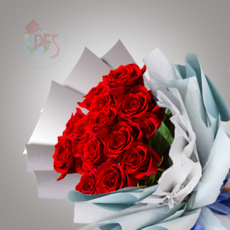 Wrapped Dozen Roses